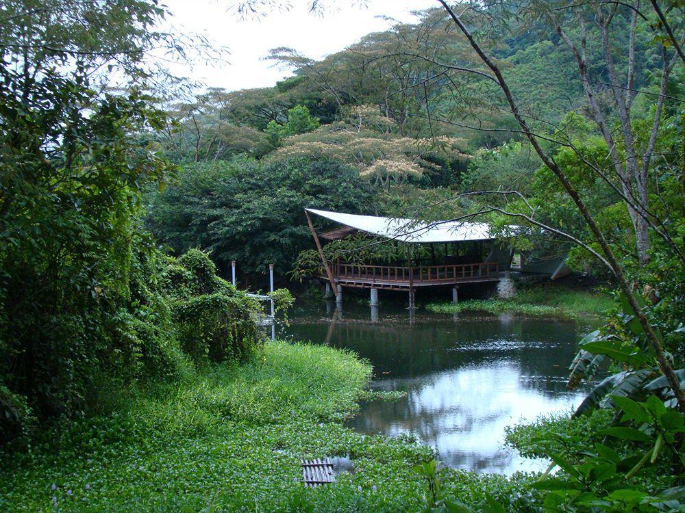 Rancho Margot Sustainable & Self Sufficient Eco Lodge El Castillo Exterior foto